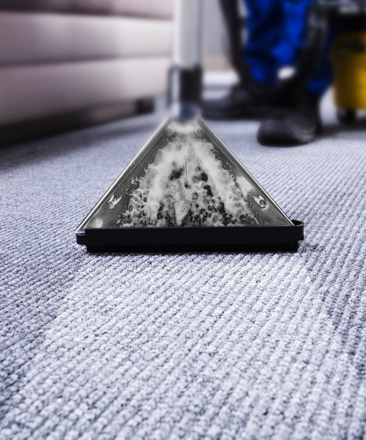 Redding Carpet Cleaning Deep Clean