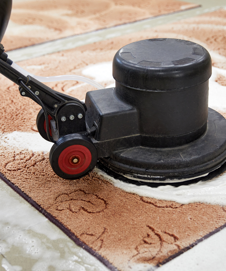 Redding Carpet Cleaning Rug Cleaning